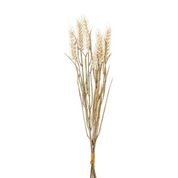 Decorative wheat bunch TILPA with ears, cream, 20"/50cm Decorative wheat bunch TILPA with ears, cream, 20"/50cm
