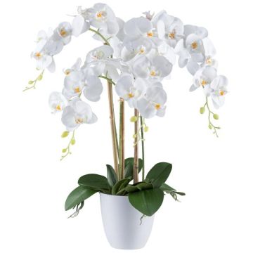 Artificial Phalaenopsis orchid BLENTOR in melamine planter, roots, white, 24"/60cm