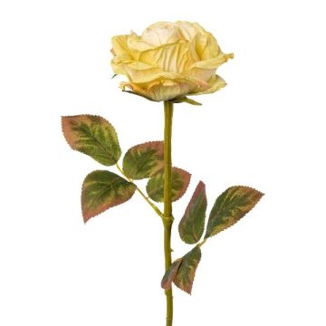 Decorative flower rose DRINT, green-cream, 24"/60cm, Ø4.1"/10.5cm Decorative flower rose DRINT, green-cream, 24"/60cm, Ø4.1"/10.5cm