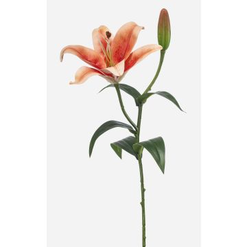 Artificial Tiger Lily MIXLON, peach-salmon, 55cm, Ø13cm Artificial Tiger Lily MIXLON, peach-salmon, 55cm, Ø13cm