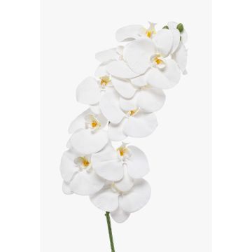 Artificial Phalaenopsis orchid branch XURI, white, 95 cm, Ø 12.5 cm