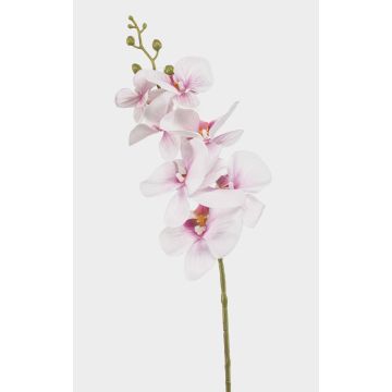 Artificial Phalaenopsis orchid branch AXELOR, white-pink, 85cm Artificial Phalaenopsis orchid branch AXELOR, white-pink, 85cm
