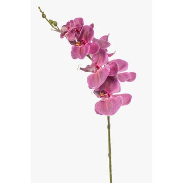 Artificial Phalaenopsis orchid branch AXELOR, pink, 85cm