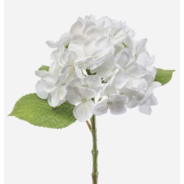 Faux hydrangea EXORIN, white, 20"/50cm, Ø6.7"/17cm Faux hydrangea EXORIN, white, 20"/50cm, Ø6.7"/17cm