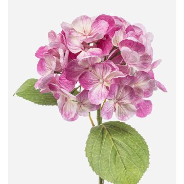 Faux hydrangea EXORIN, pink, 20"/50cm, Ø6.7"/17cm Faux hydrangea EXORIN, pink, 20"/50cm, Ø6.7"/17cm