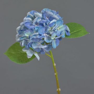 Faux hydrangea EXORIN, blue, 20"/50cm, Ø6.7"/17cm Faux hydrangea EXORIN, blue, 20"/50cm, Ø6.7"/17cm