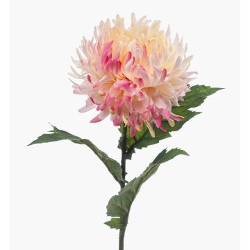 Artificial chrysanthemum SAXLER, pink-pink-white, 60 cm, Ø 12 cm Artificial chrysanthemum SAXLER, pink-pink-white, 60 cm, Ø 12 cm