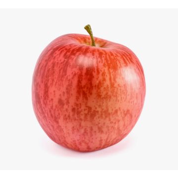Artificial apple ATINDO, red-orange, 8 cm, Ø 8.5 cm Artificial apple ATINDO, red-orange, 8 cm, Ø 8.5 cm