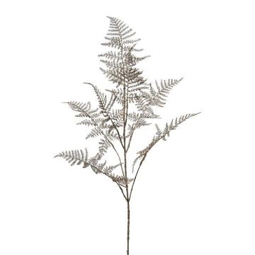 Artificial asparagus plumosus branch BLORVI, antique silver, 3ft/90cm Artificial asparagus plumosus branch BLORVI, antique silver, 3ft/90cm