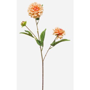 Artificial dahlia branch CEVAST, peach, 70cm, Ø7–8cm Artificial dahlia branch CEVAST, peach, 70cm, Ø7–8cm