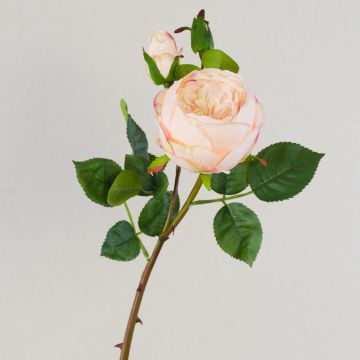 Artificial cabbage rose MIRETTA, pink-green, 60 cm, Ø 3–9 cm