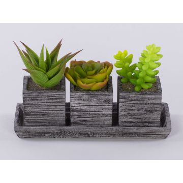 Foam succulent arrangement SYLVIA in decorative pots, green, 19 x 7.5 x 11 cm