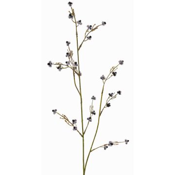 Decorative Stirlingia latifolia branch COLLAN, black and white, 75cm, Ø1cm