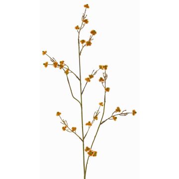 Decorative Stirlingia latifolia COLLAN branch, orange-green, 75cm, Ø1cm