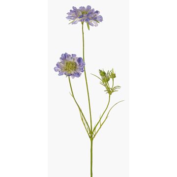 Artificial Scabiosa ANDIA, blue-purple, 80 cm, Ø 8–10 cm Artificial Scabiosa ANDIA, blue-purple, 80 cm, Ø 8–10 cm