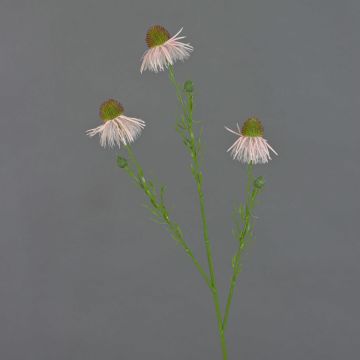 Artificial coneflower branch CELIO, pink, 28"/70cm, Ø2.4"-2.8"/6-7cm Artificial coneflower branch CELIO, pink, 28"/70cm, Ø2.4"-2.8"/6-7cm