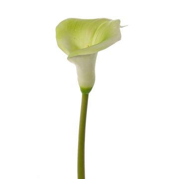Artificial calla lily MIRAC, green-white, 30"/75cm, 4.7"x5.9"/12x15cm