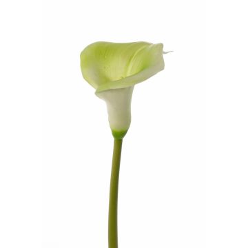 MIRAC artificial calla lily, green and white, 75 cm, 12 x 15 cm MIRAC artificial calla lily, green and white, 75 cm, 12 x 15 cm