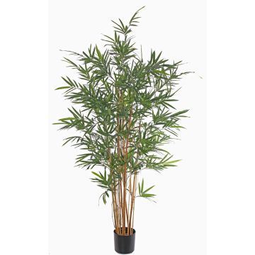 Faux bamboo LUCINE, real stems, crossdoor, 8ft/230cm Faux bamboo LUCINE, real stems, crossdoor, 8ft/230cm