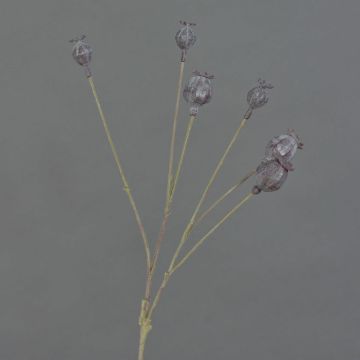 Decorative poppy capsules ASUMAN, dark brown, 70 cm, Ø 2–3 cm Decorative poppy capsules ASUMAN, dark brown, 70 cm, Ø 2–3 cm