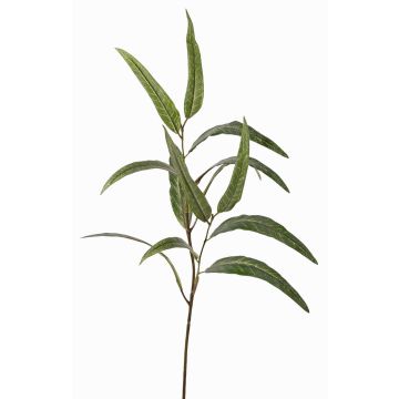 Artificial eucalyptus branch SEMA, green, 28"/70cm Artificial eucalyptus branch SEMA, green, 28"/70cm