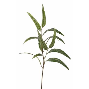 Artificial eucalyptus branch SEMA, green, 70cm