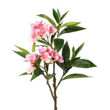 Artificial frangipani branch DRIFEN, pink, 4ft/110cm