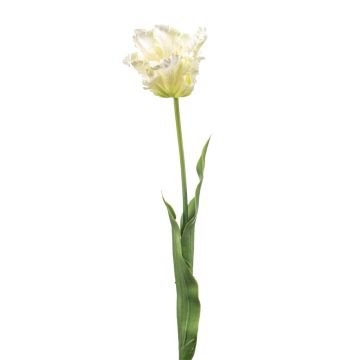 Artificial parrot tulip LUNIA, white and green, 70 cm Artificial parrot tulip LUNIA, white and green, 70 cm