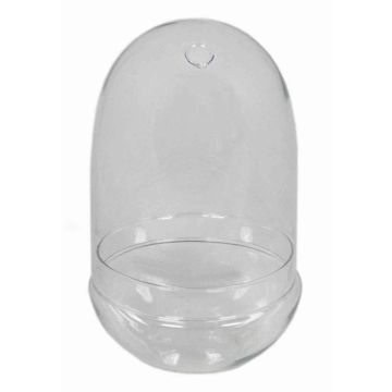 Glass bell JAMAE, transparent, 12"/30cm, Ø7"/17,5cm