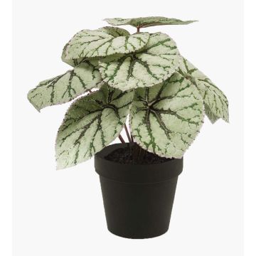 Artificial plant: leaf begonia MEIRA, green-grey, 10"/25cm Artificial plant: leaf begonia MEIRA, green-grey, 10"/25cm