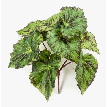 Artificial plant: leaf begonia 'MEIRA' on a stick, green and black, 10"/25cm Artificial plant: leaf begonia 'MEIRA' on a stick, green and black, 10"/25cm