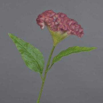 ANUBIS artificial cockscomb, pink, 60cm, Ø14cm ANUBIS artificial cockscomb, pink, 60cm, Ø14cm
