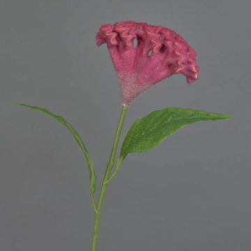 ANUBIS artificial cockscomb, violet, 60cm, Ø14cm ANUBIS artificial cockscomb, violet, 60cm, Ø14cm
