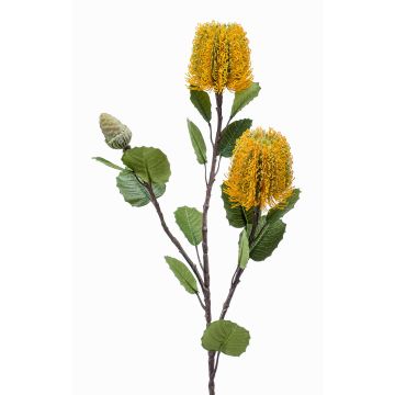 Artificial Banksia robur CONAKIR, yellow, 70cm Artificial Banksia robur CONAKIR, yellow, 70cm