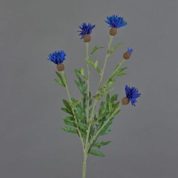 Decorative artificial cornflower ORTIGO, blue, 60cm, Ø2–6cm