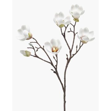 Artificial magnolia ANEU, cream, 65cm, Ø7–8cm Artificial magnolia ANEU, cream, 65cm, Ø7–8cm