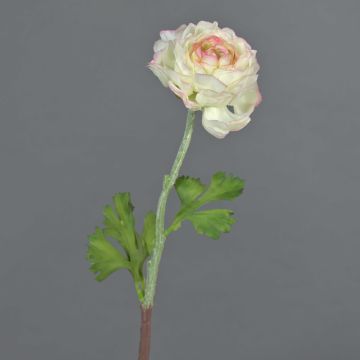 Artificial ranunculus ELORIO, cream-pink, 50 cm, Ø 10 cm Artificial ranunculus ELORIO, cream-pink, 50 cm, Ø 10 cm