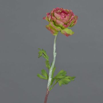 ELORIO artificial ranunculus, pink-green, 50 cm, Ø 10 cm ELORIO artificial ranunculus, pink-green, 50 cm, Ø 10 cm