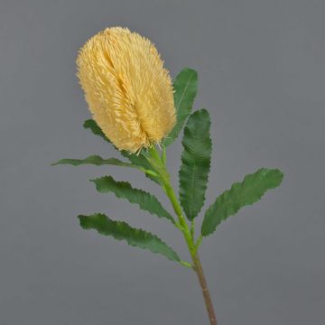 Artificial Banksia robur flower YUSTE, peach, 65cm, Ø8cm Artificial Banksia robur flower YUSTE, peach, 65cm, Ø8cm