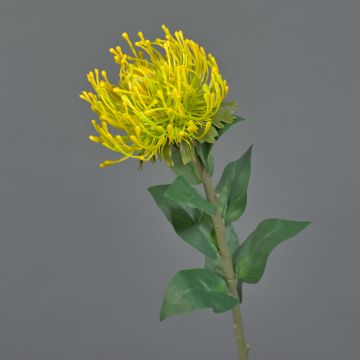 Artificial flower pincushion protea HERVAS, yellow, 70cm, Ø12cm Artificial flower pincushion protea HERVAS, yellow, 70cm, Ø12cm