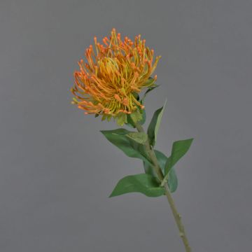 Artificial flower pincushion protea HERVAS, orange, 70cm, Ø12cm Artificial flower pincushion protea HERVAS, orange, 70cm, Ø12cm