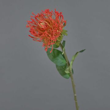 Artificial flower pincushion – Protea HERVAS, red-orange, 70cm, Ø12cm Artificial flower pincushion – Protea HERVAS, red-orange, 70cm, Ø12cm