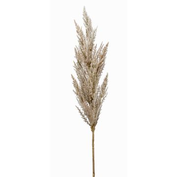 Decorative Pampas Grass Panicle BATERNO, cream, 90cm Decorative Pampas Grass Panicle BATERNO, cream, 90cm