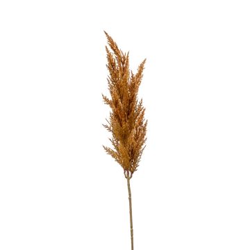 Decorative Pampas Grass Panicle Branch BATERNO, brown, 90cm Decorative Pampas Grass Panicle Branch BATERNO, brown, 90cm