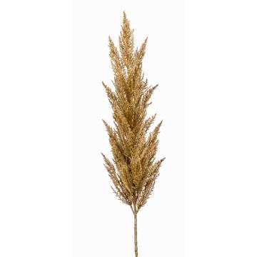 Decorative Pampas Grass Panicle Branch BATERNO, light brown, 115cm Decorative Pampas Grass Panicle Branch BATERNO, light brown, 115cm
