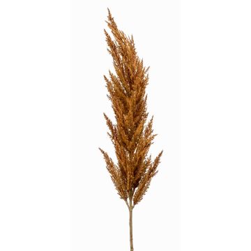 Decorative Pampas Grass Panicle Branch BATERNO, brown, 115cm Decorative Pampas Grass Panicle Branch BATERNO, brown, 115cm