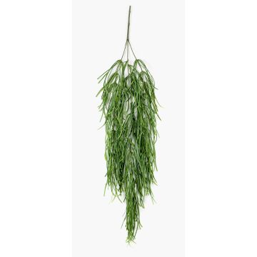 Artificial plant, Rhipsalis succulent hanging plant TALIGA on a stake, green, 31"/80cm Artificial plant, Rhipsalis succulent hanging plant TALIGA on a stake, green, 31"/80cm