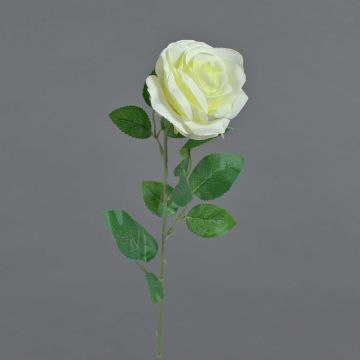 Artificial rose PEZOS, cream, 60cm, Ø10cm