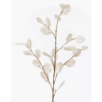 Decorative Lunaria BUELNA branch, cream, 3ft/105cm Decorative Lunaria BUELNA branch, cream, 3ft/105cm