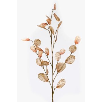Decorative Lunaria BUELNA branch, light brown, 3ft/105cm Decorative Lunaria BUELNA branch, light brown, 3ft/105cm